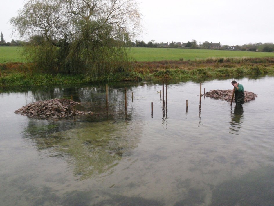 Fish_Ecology_SE's tweet image. River Itchen looking good today at Twyford where we created these islands in 2014 to narrow the channel, increase velocity and make more complex #chalkstream habitat #biodiversity #ForFishSake

#riverrestoration &amp;amp; natural processes #workingwithnature #letriversflow #loveyourriver