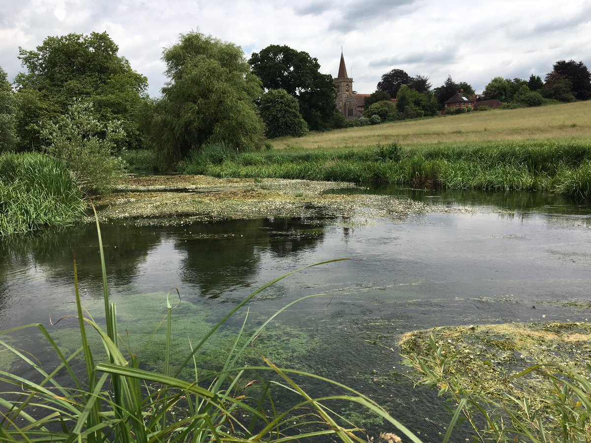 Fish_Ecology_SE's tweet image. River Itchen looking good today at Twyford where we created these islands in 2014 to narrow the channel, increase velocity and make more complex #chalkstream habitat #biodiversity #ForFishSake

#riverrestoration &amp;amp; natural processes #workingwithnature #letriversflow #loveyourriver