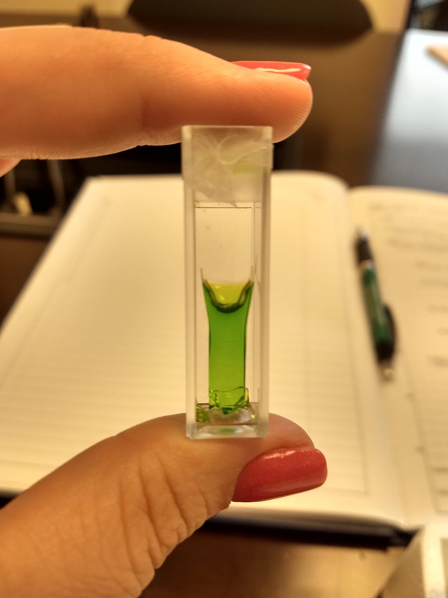 GCscienceedu's tweet photo. Young Scientists Academy is underway at Georgia College! #SolGelSelfie #silicagel #porphyrinsolgel #gcscienceedu #projectSEED #ACS #ysa18 https://t.co/ZUe4y19Y3w