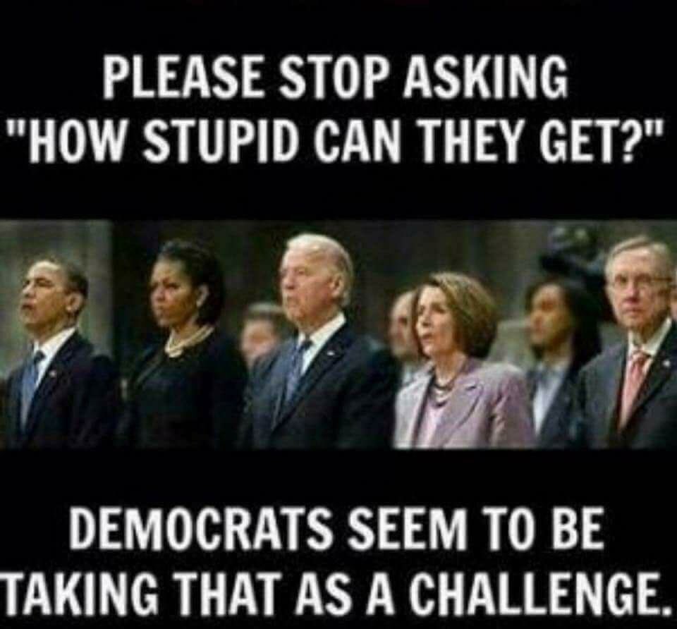 Image result for Democrats are stuck on stupid