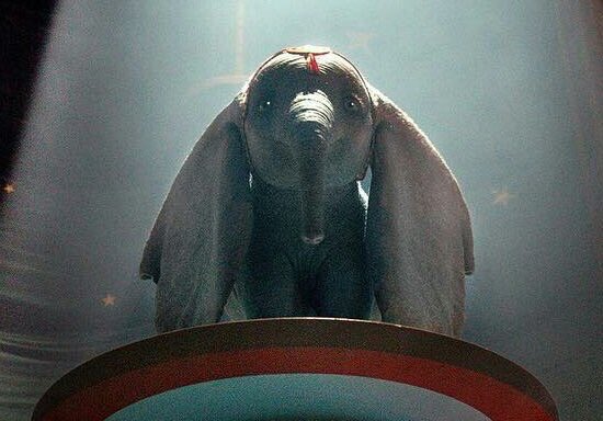 ittwres's tweet photo. -  Os Incríveis 2
-  Detona Ralph 2
-  Dumbo (live action)
-  Rei Leão (live action)

de um lado a sociedade querendo que eu amadureça, do outro a Disney querendo me fazer voltar a ser criança

acho que a Disney venceu essa batalha https://t.co/TmhpdzjHPB