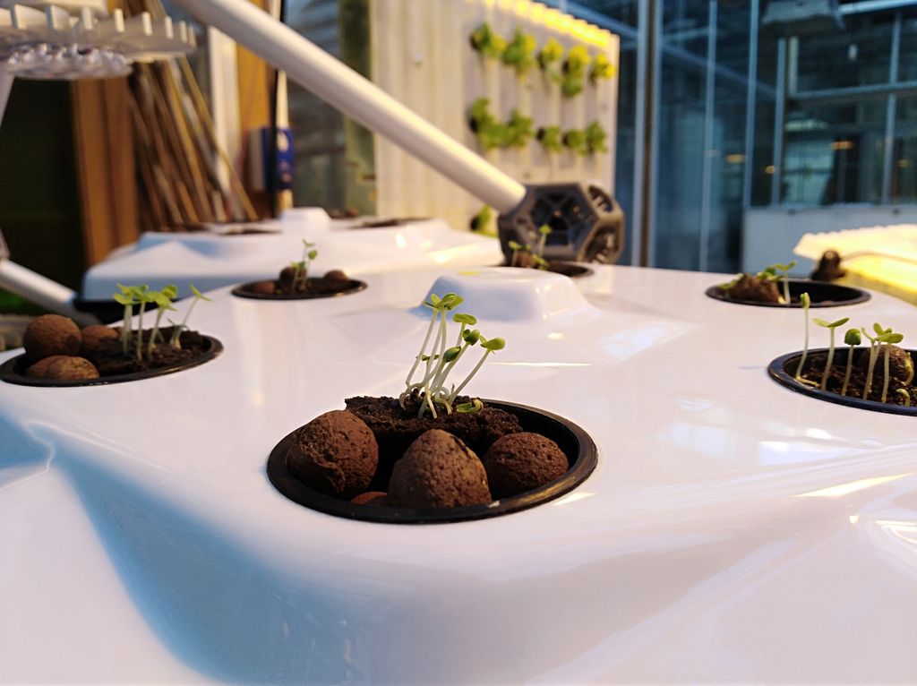 Just started our new #test #cultivations at the <a href="/UniBO/">Università di Bologna</a> where our #agronomists and #researchers will keep trying new #varieties and #methods to efficiently grow anything that can be grown #aeroponically
Can't wait to show you how the #roots will come out with our #50micron system!