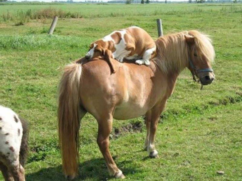 ThePeoplesSay's tweet photo. So cute! https://t.co/MqEcgMBkXp