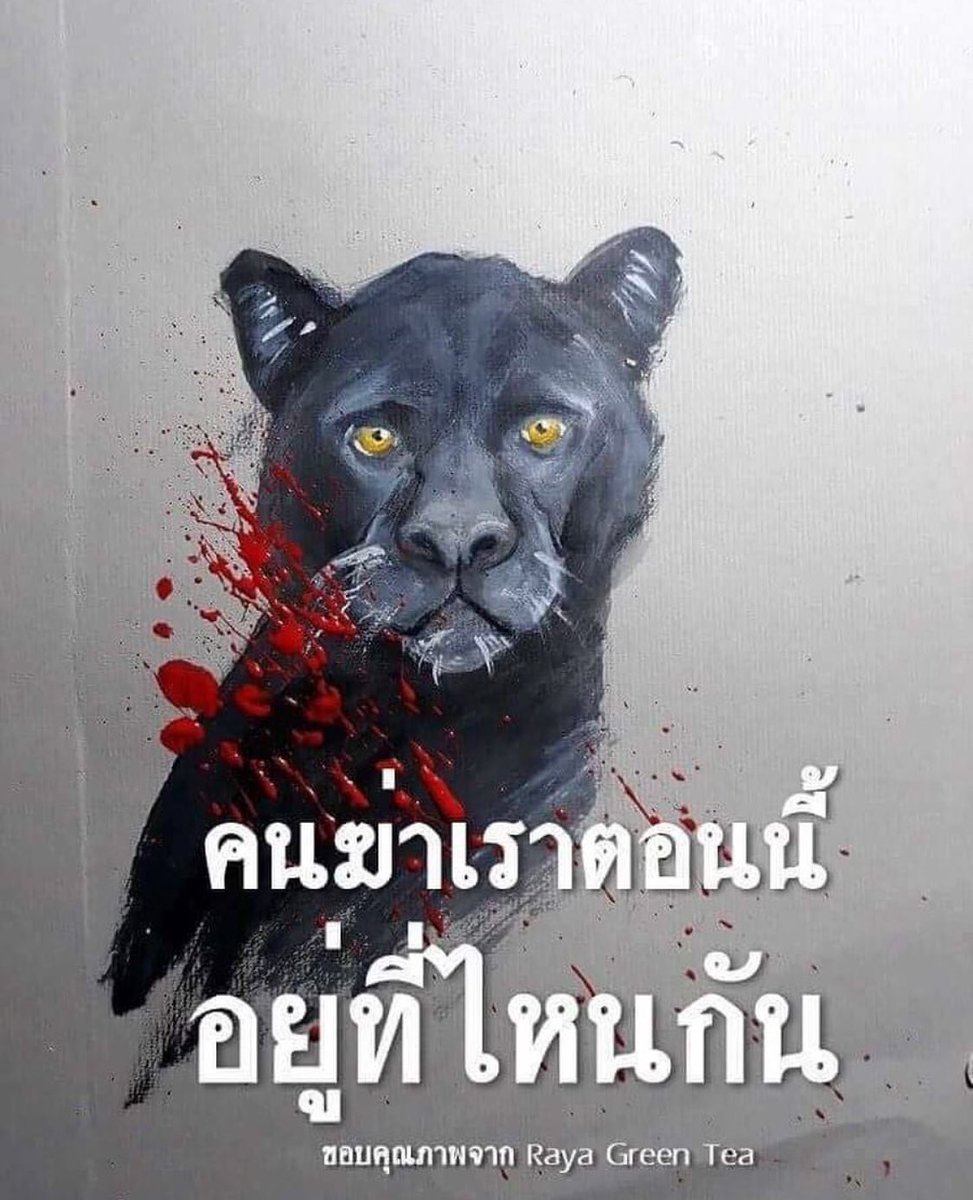 SavePanther's tweet photo. เขาลืมกันแล้วละ #BlackPantherWasKilledInThailand #เปรมชัย #เสือดำต้องไม่ตายฟรี #ฝนตกที่ทุ่งใหญ่ https://t.co/u7Z5eOR6Sq