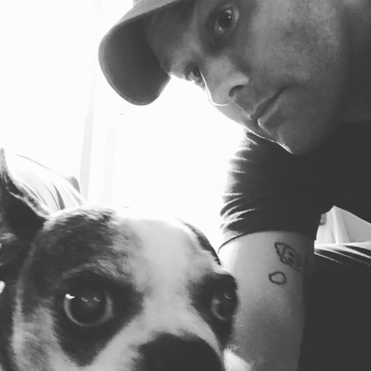 HighanLonesome's tweet photo. Our cute mascot comes to life, and Gus #highanlonesome #bostonterrierthuglife https://t.co/253fKCQaVi