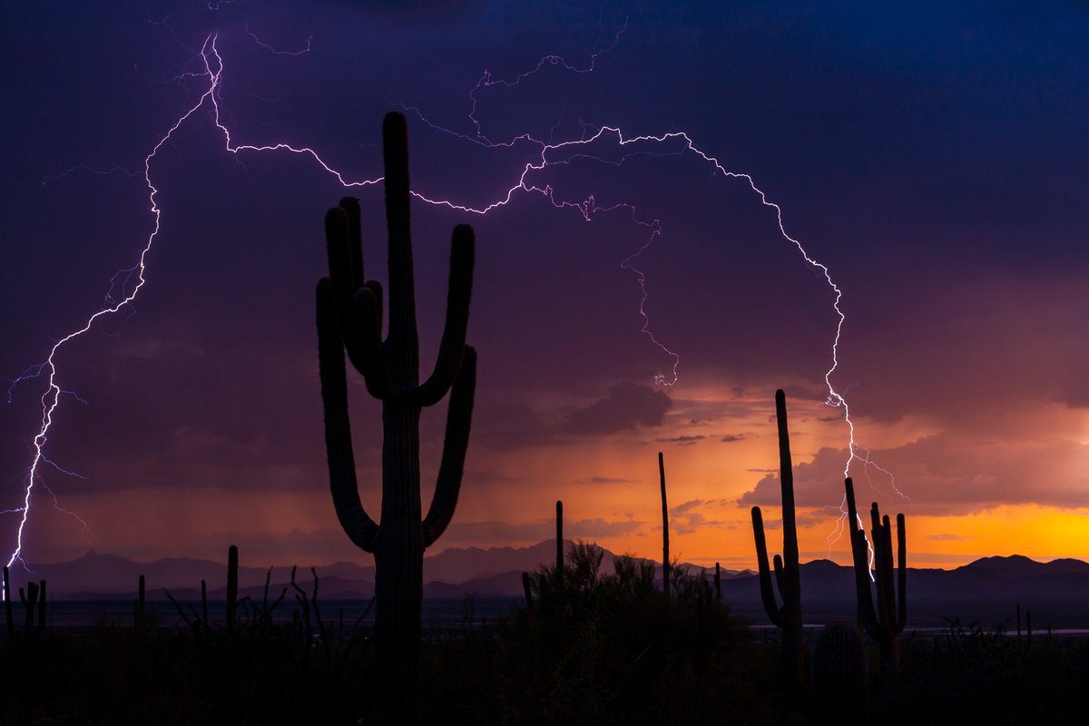 NWS's tweet photo. Our offices in the southwest are taking time this week to discuss how the North American Monsoon impacts the region and what people can do to protect themselves (photo by Pete Gregoire).
#LifeSavingScience #InEveryCommunity https://t.co/FjTmiTPqba