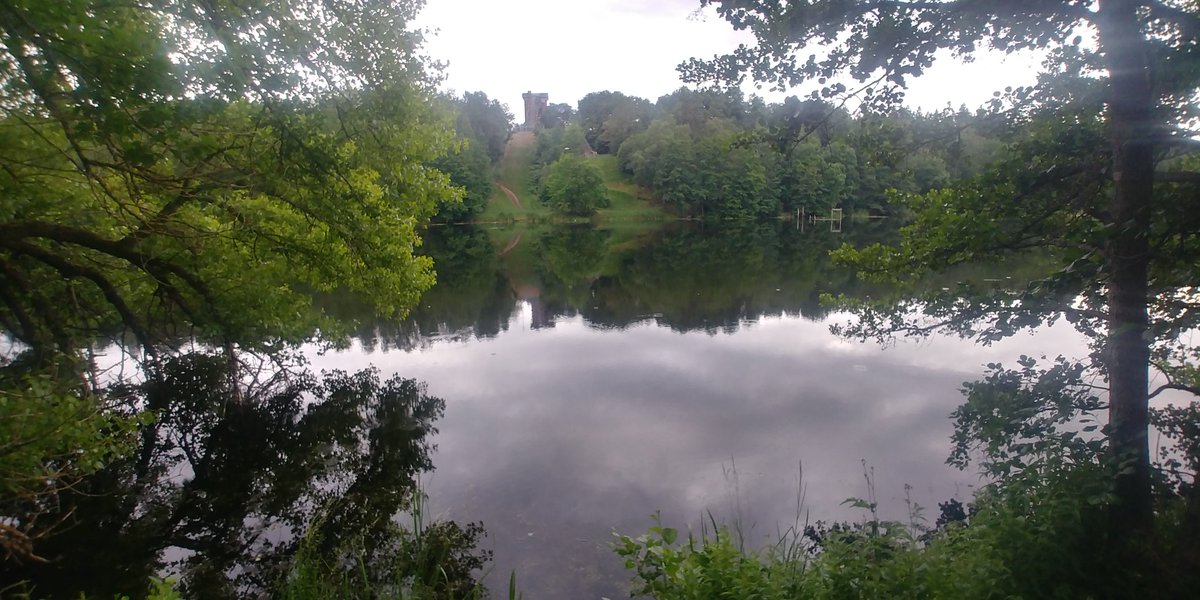 Stefan Wastegård tweet media