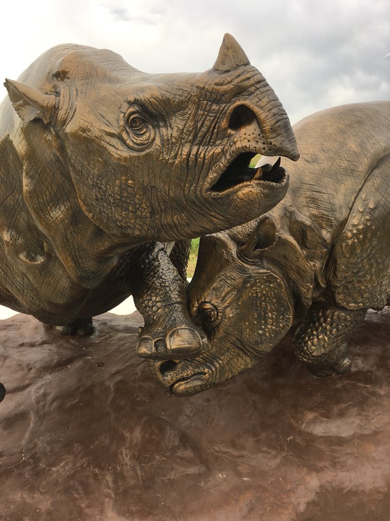 Dr_CrocoGator's tweet photo. #RoadTrip to #Wyoming continues with a stop at the amazing rhino-filled Ashfall Fossil Beds State Park in Nebraska. This site preserves victims from a 12 million year old volcanic eruption, burying this watering hole in ash. Such an incredible place! #AshfallFossilBeds https://t.co/JLoFNL7S46