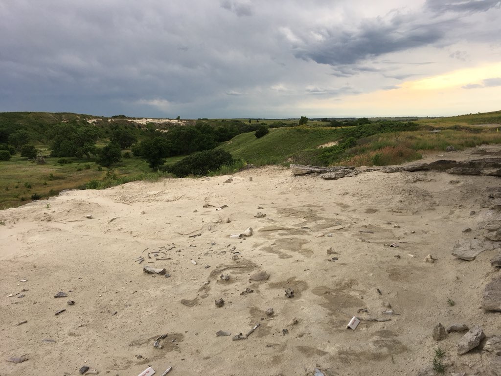 Dr_CrocoGator's tweet photo. #RoadTrip to #Wyoming continues with a stop at the amazing rhino-filled Ashfall Fossil Beds State Park in Nebraska. This site preserves victims from a 12 million year old volcanic eruption, burying this watering hole in ash. Such an incredible place! #AshfallFossilBeds https://t.co/JLoFNL7S46