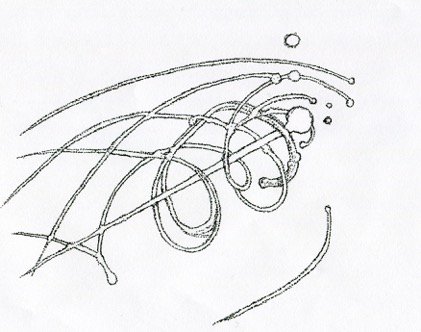 buy wärmemechanik wasserhaltiger gasgemische mit den hilfsmitteln der flächennomographie bearbeitet 1925