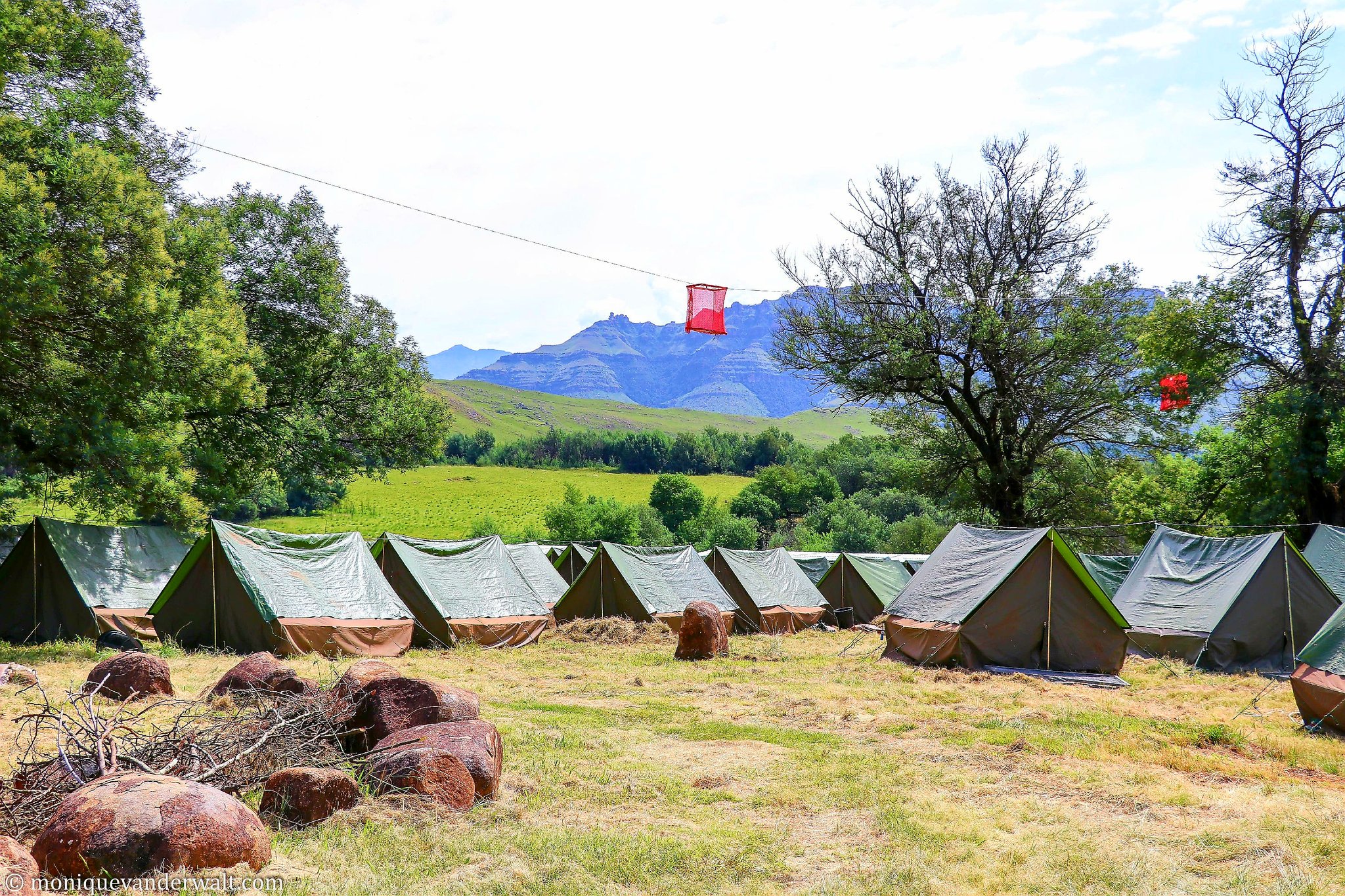 Monique van der KZN 🇿🇦 on Twitter "⛺Glamping ⚌ camping creature
