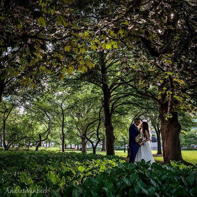 This photo was brought to you by the colour green. #ottawaweddings #ottawaweddingphotographer #confederationpark #sonya7riii #my613 #myottawa ift.tt/2sX0D2A