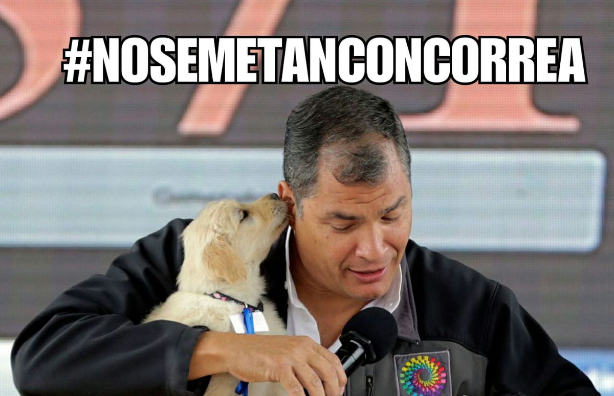 romerinoa's tweet photo. Manta Manabi esta con Correa https://t.co/2ZZWpTea8t