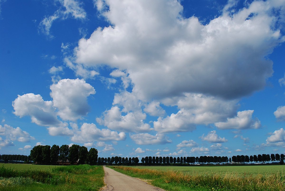 padt005's tweet image. Prachtige luchten bij Puttershoek.  13 Juni.