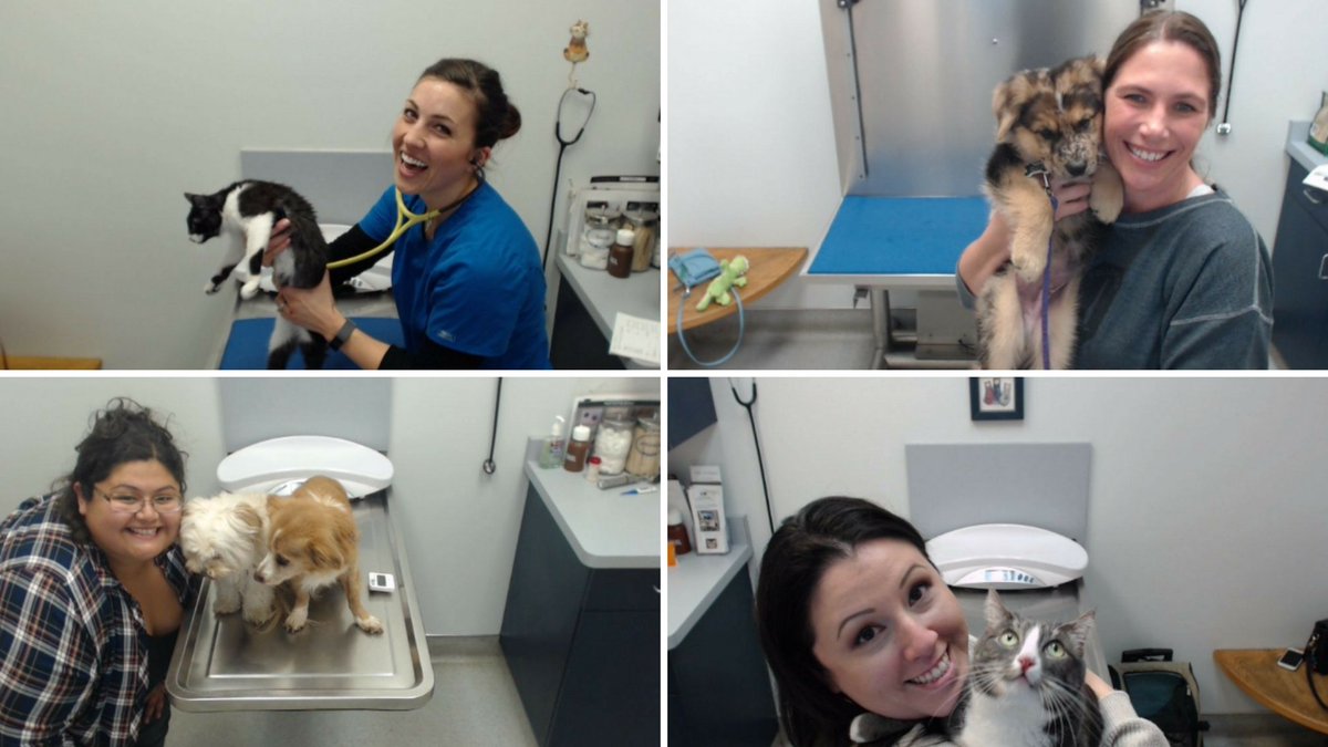 FollowSBD's tweet image. The Montage Photo Booth Widget captures hundreds of images all upon the patient approval, creating user-generated content and an interactive experience for your patients. Learn more in our latest #blog. #SolutionsByDesign 
solutionsbydesign.com/blog-detail.ph…