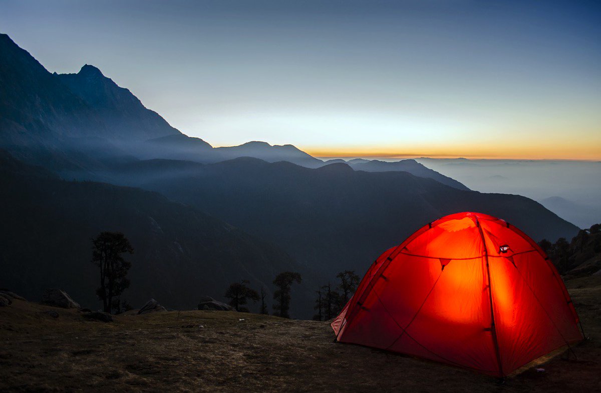 Celebrate #NaturePhotographyDay + pack your camera before heading out to your #GreatAmericanCampout this summer! Who knows what wildlife you may spot! Whether you camp in a national park, RV, or even your own backyard, make the pledge to campout today: nwf.org/campout