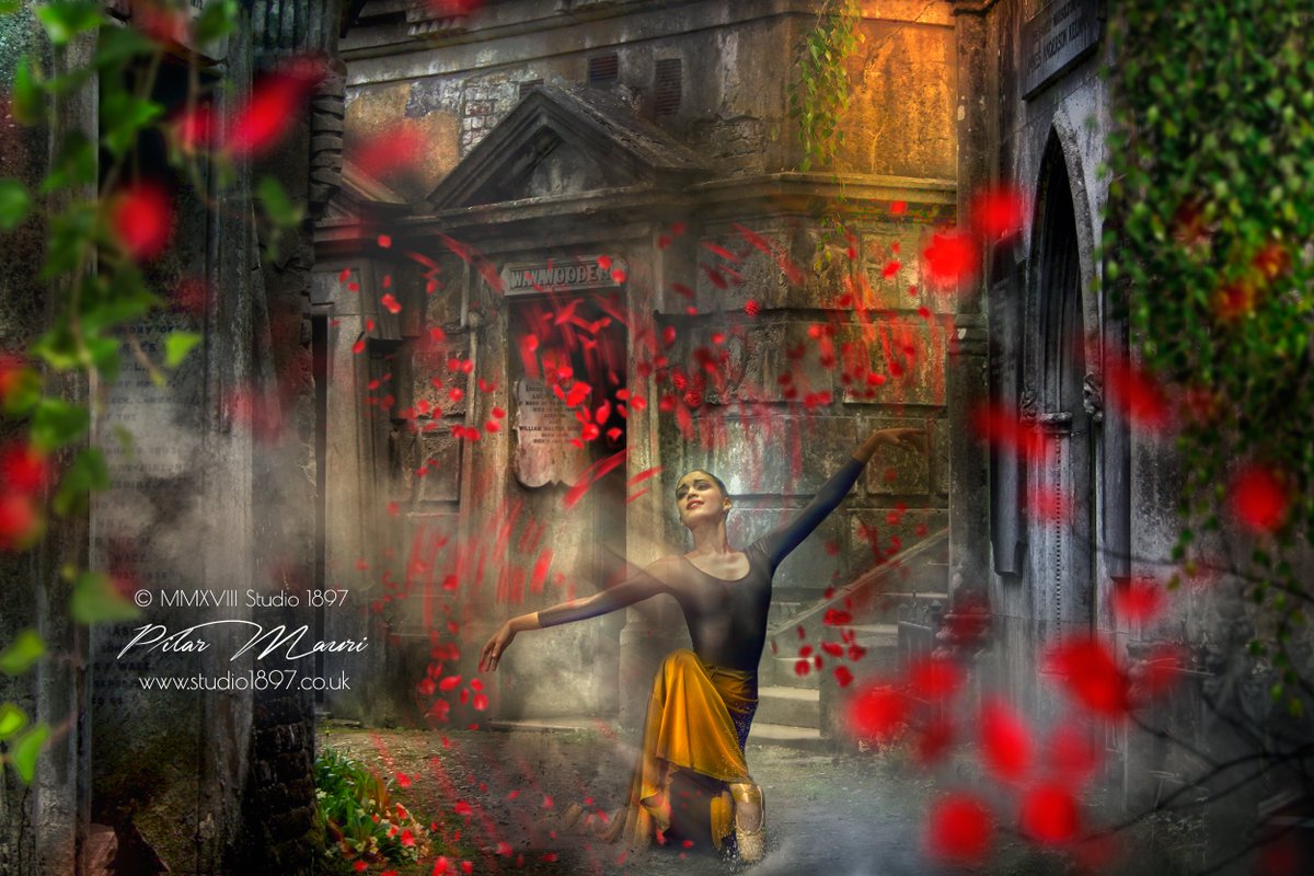 piadavanzo's tweet photo. "What you are, I once was. What I am, you will be"
https://t.co/NwE6PaNJsi
*
#studio1897 #artdirection #artphotography #dancephotography #HighgateCemetery https://t.co/EOPNm1TkIp