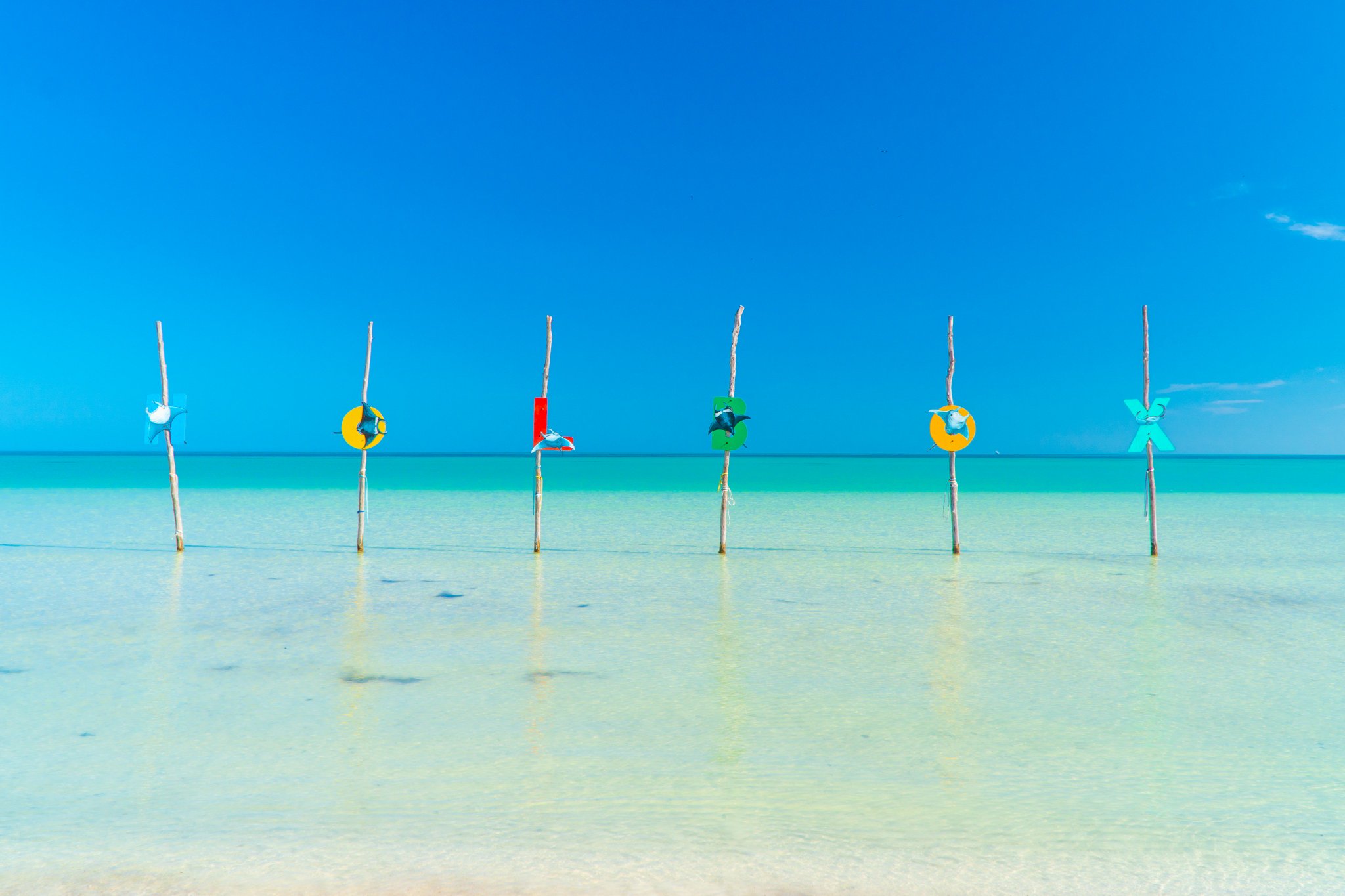 Aprender acerca 76+ imagen mantarraya beach club holbox Abzlocal.mx