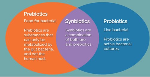 We’ve heard the terms #prebiotics and #probiotics, but do we really know what they mean? To learn more from the @NIH, check out the link here: bit.ly/2x7qjhG #guthealth #IBS 📷:@elenaAivanina