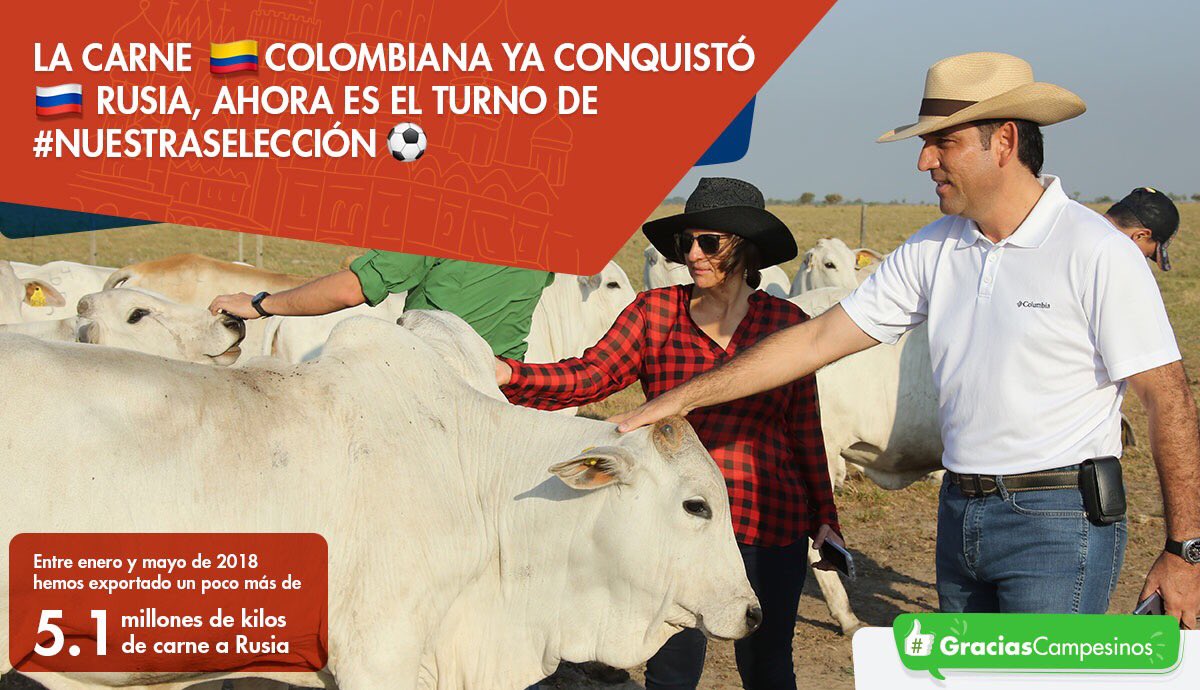 JuanGZuluaga's tweet photo. La carne colombiana, producto del esfuerzo de 500 mil familias ganaderas ya conquistó Rusia, ahora es el turno de nuestra @FCFSeleccionCol 🇨🇴🇷🇺#ElRenacerDelCampo https://t.co/k8FboV6pnd