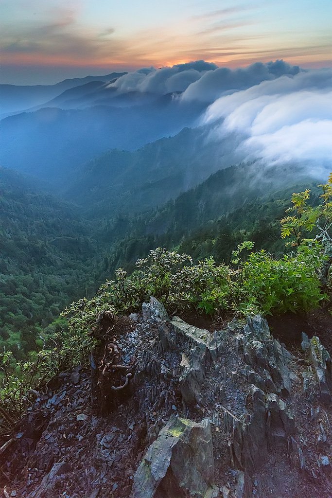 GreatSmokyNPS's tweet photo. "Let the beauty of sunrise keep your heart warm." -Lailah Gifty Akita

Photo: Bob Carr https://t.co/NWRTtRHp0Q