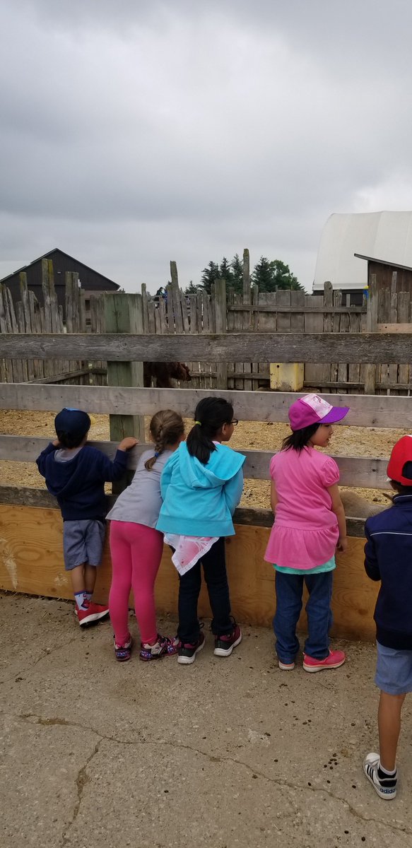 K7Yellow's tweet photo. Fun at Downey's Farm! https://t.co/LHFXAN2Fvg