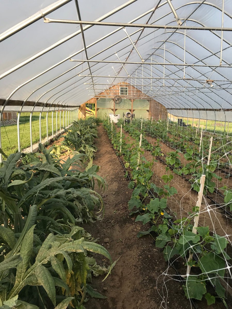 cathartesboston's tweet image. The Cathartes team is back in action after an amazing, team building offsite!

Thank you, Stone Acres Farm, for the class! We had a fantastic time!

#cathartes #collaborativecooking #foodie #teambuilding