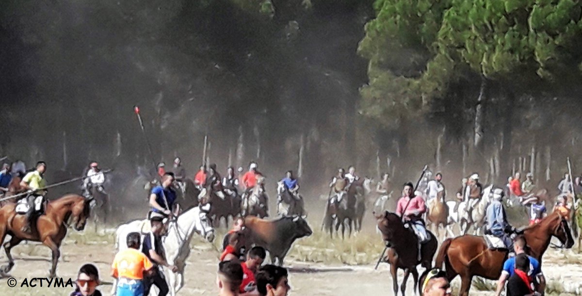 ACTYMA1's tweet image. NOTIFICACIÓN DE LOS SERVICIOS JURIDICOS DE LA JUNTA DE CASTILLA Y LEÓN SOBRE EL RECURSO DE ALZADA CONTRA EL ENCIERRO DEL TORO DE LA VEGA, respecto a la denuncia interpuesta. Se ha dado traslado de dicho recurso a la Agencia de Protección Civil, como órgano superior jerárquico.
