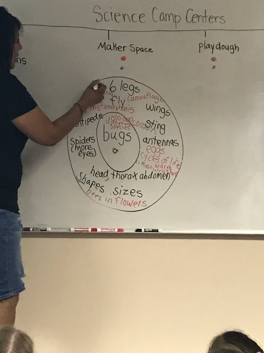 TeachMrsDTeach's tweet photo. #SummerScienceInstitute @The_GESGators Firsties studied insects today! @IRCSchools https://t.co/VPpri1pO6I