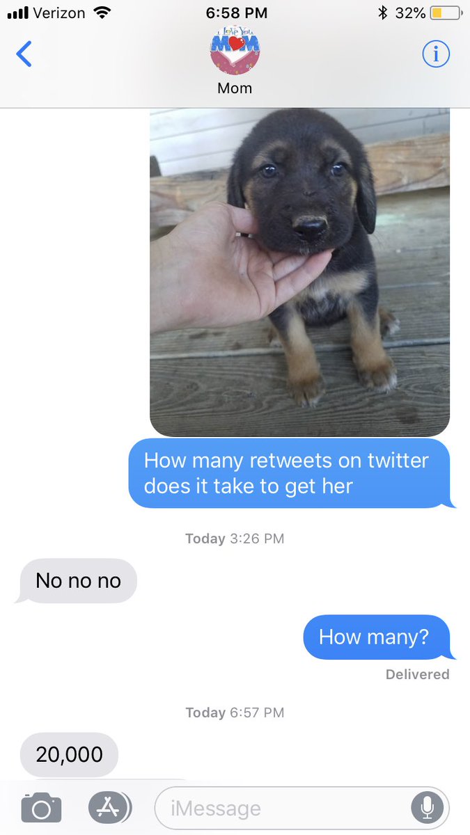 AustinsMoon's tweet image. I already have two so my mom said no! But I convinced her! Help me get her, I have till the 24th!!!