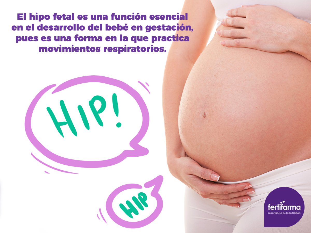 Hipofetal Twitter Search Twitter Hipofetal Twitter Search Twitter