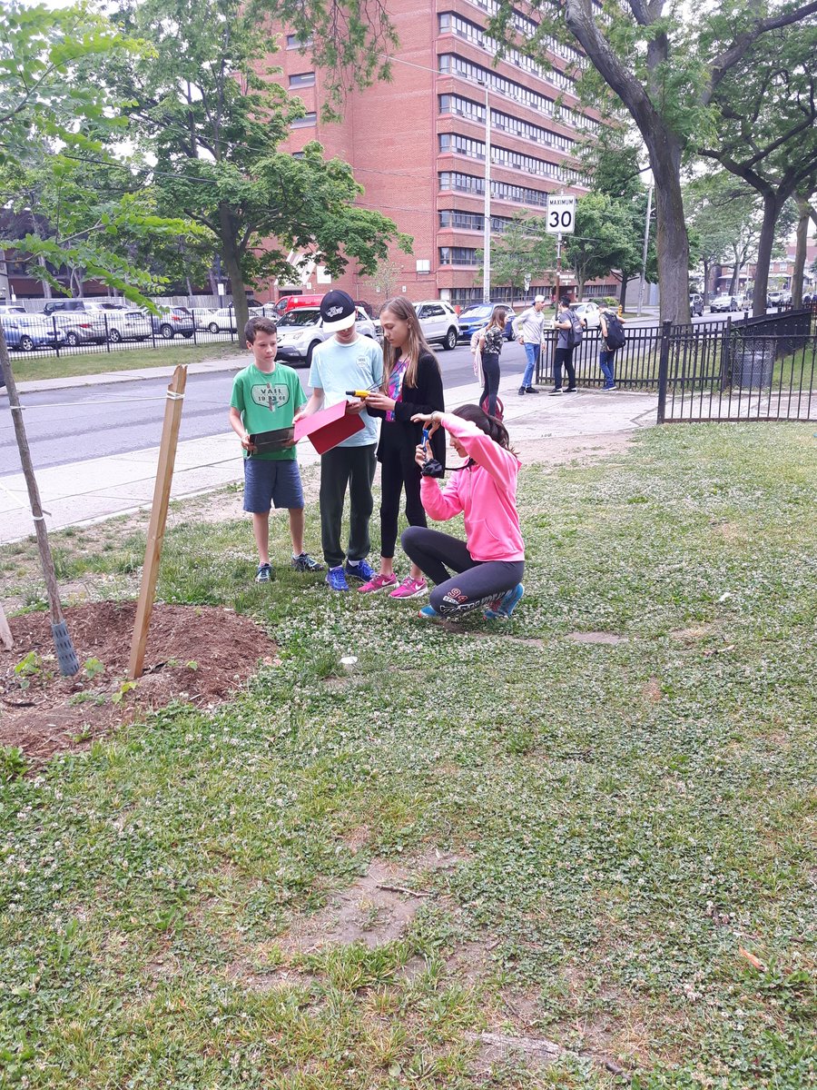 HarshiniFazl's tweet photo. E7 Ss are #treestewards, #arborists, #treelovers & #urbanforestrystudents creating tree tours using GPS and GIS tech @NorthleaTDSB https://t.co/ycTRdsx7hy