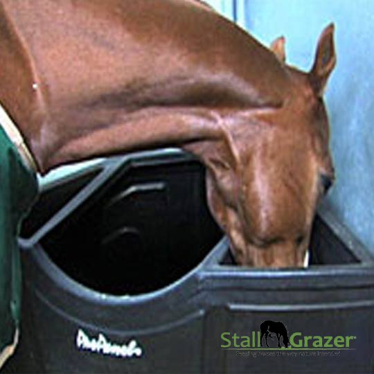 Pro Panel On Twitter Horses Are Healthier And Happier And Will