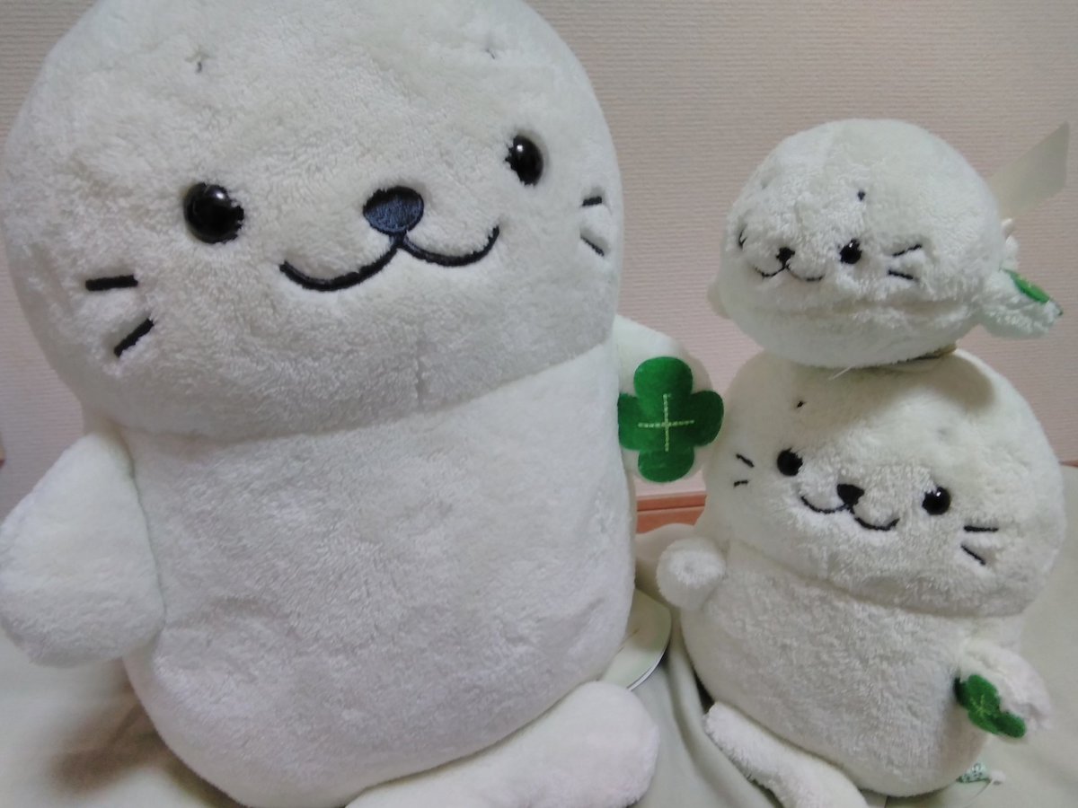 mugyutoro's tweet photo. 今日素敵な予定がある人も憂鬱な予定がある人も平凡な１日になりそうな人も、、、

みなたんにぐっどらっくきゅ🍀🍀🍀

んんっ！ぼくもみどりーずノコ！ぼくも応援するノコ🎉🎉

#しろたん #四つ葉しろたん #sirotan https://t.co/2vr3jnVjAG