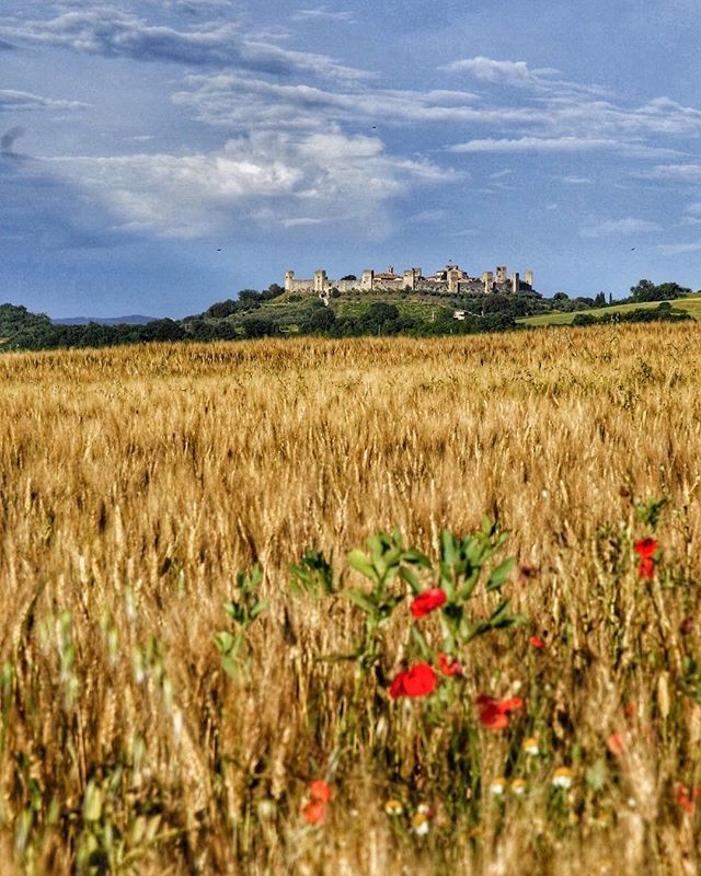 AntonioCinotti's tweet photo. Waiting for summer. #LeicaT 🔴
#monteriggioni #spring
.
.
.
.
.
.
.
.
.
.
#leica #igerssiena #igerstoscana #leicacameraitalia #bbctravel #instatuscany #aroundsiena #ilikeitaly #guardiantravelsnaps #tuscany #turistipercaso #leicaitalia #toscana #mashp… https://t.co/4dfkEduc9k https://t.co/xPJFmE3RQX