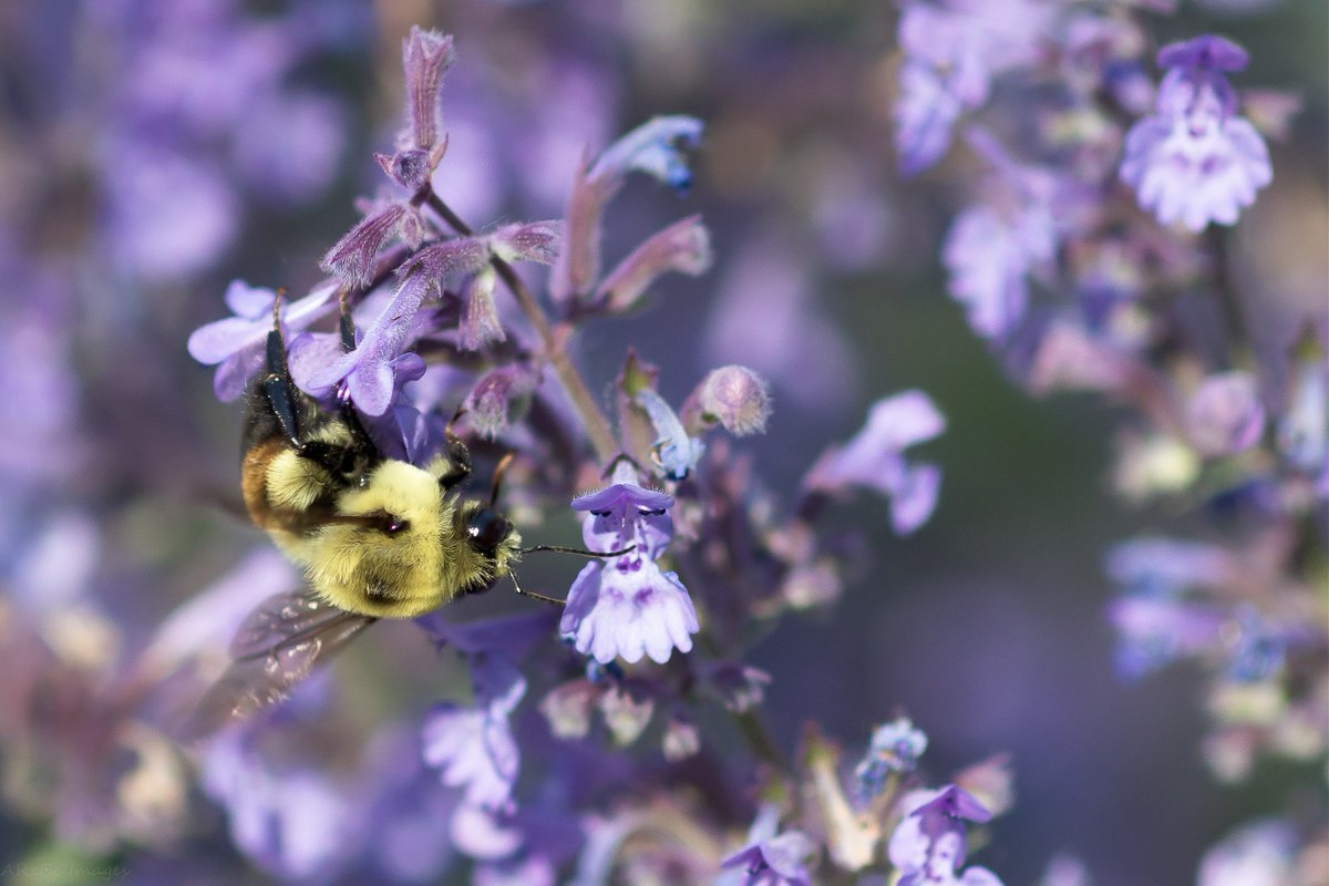 AreBe Images tweet media