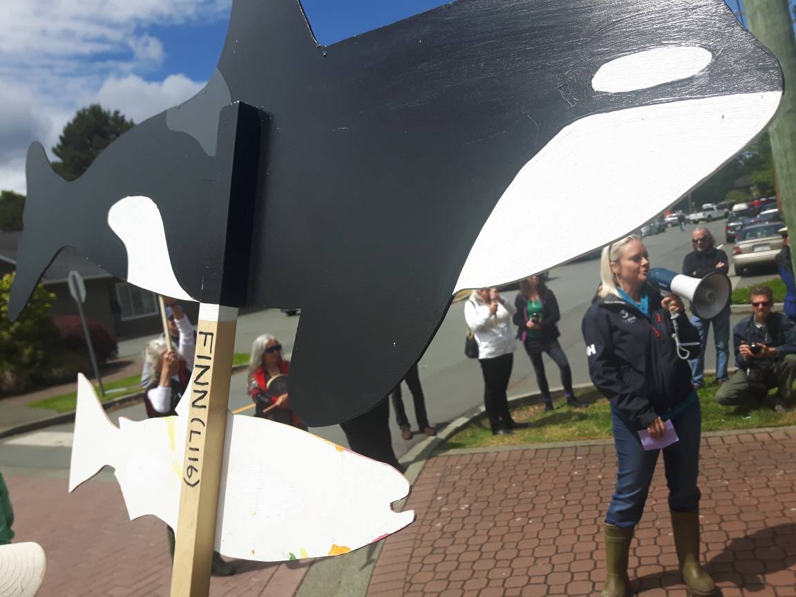 WatershedWatch_'s tweet photo. We take hundreds of thousands out to see our whales. Fish farms threaten jobs! #fishfarmsout #standupforbc https://t.co/U5ZEHBHY00