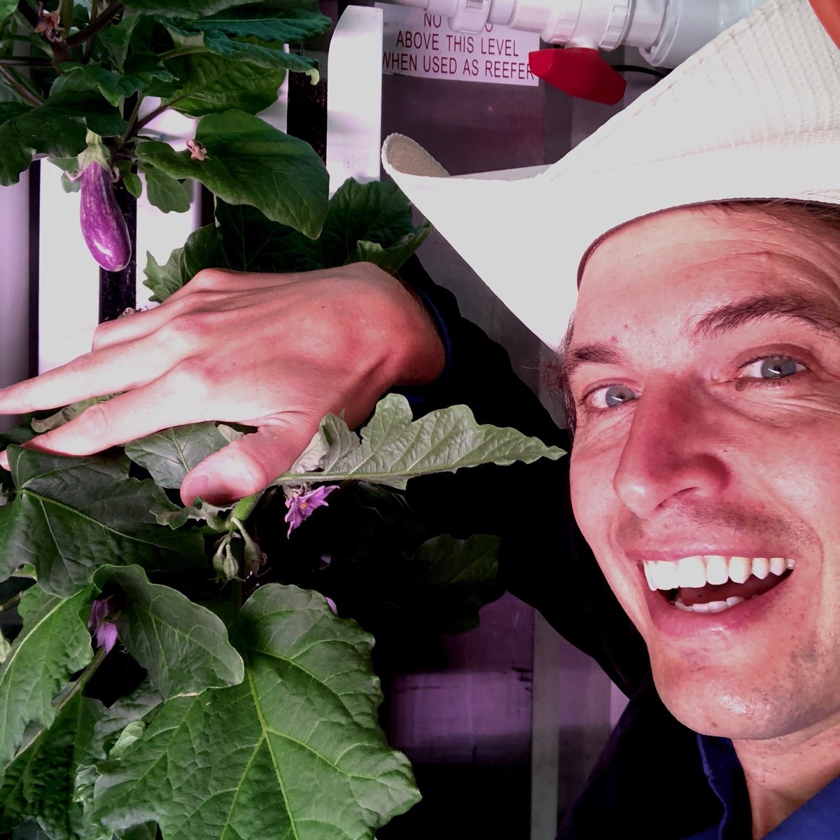 kimbal's tweet photo. You are looking at the first eggplant ever grown indoors (at least in the city of New York but it could be ever?!). Our amazing Square Roots engineers are innovating indoor farming tech to make this possible. I can’t wait to taste it!! 🍆💡⚡️#farmingfuture @squarerootsgrow https://t.co/uBprPaqXbU