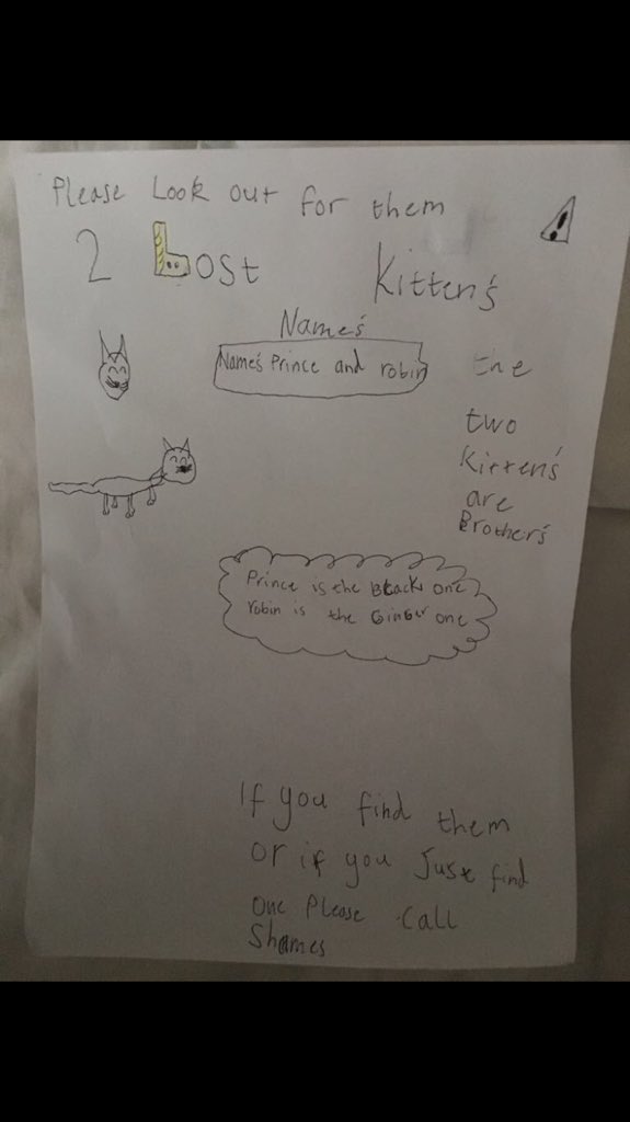 2008Omar1's tweet photo. Twitter I need your help, my nieces kittens are missing plz retweet this to help #Cambuslang 2nd poster is made by my daughter who is heart broken #Glasgow https://t.co/THj6cyki0A