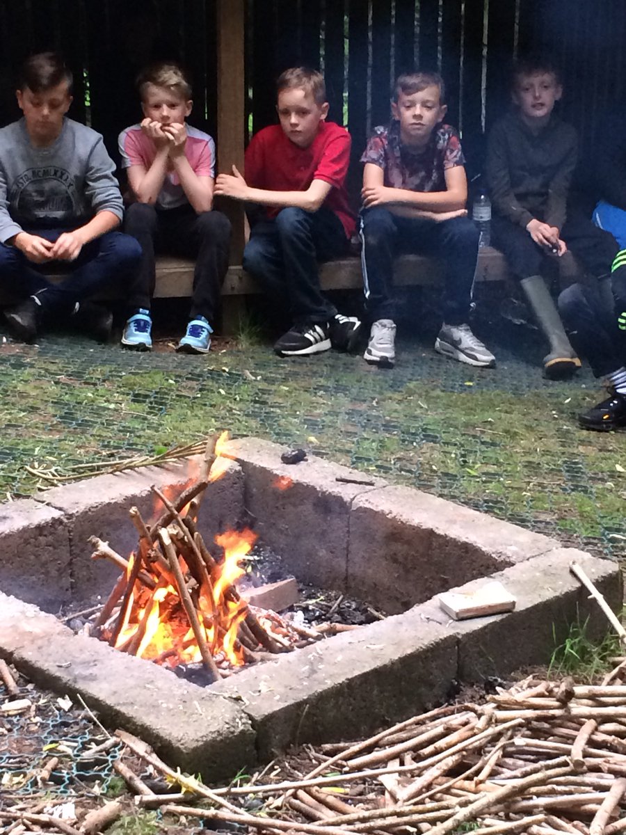 Bramptons Primary tweet media