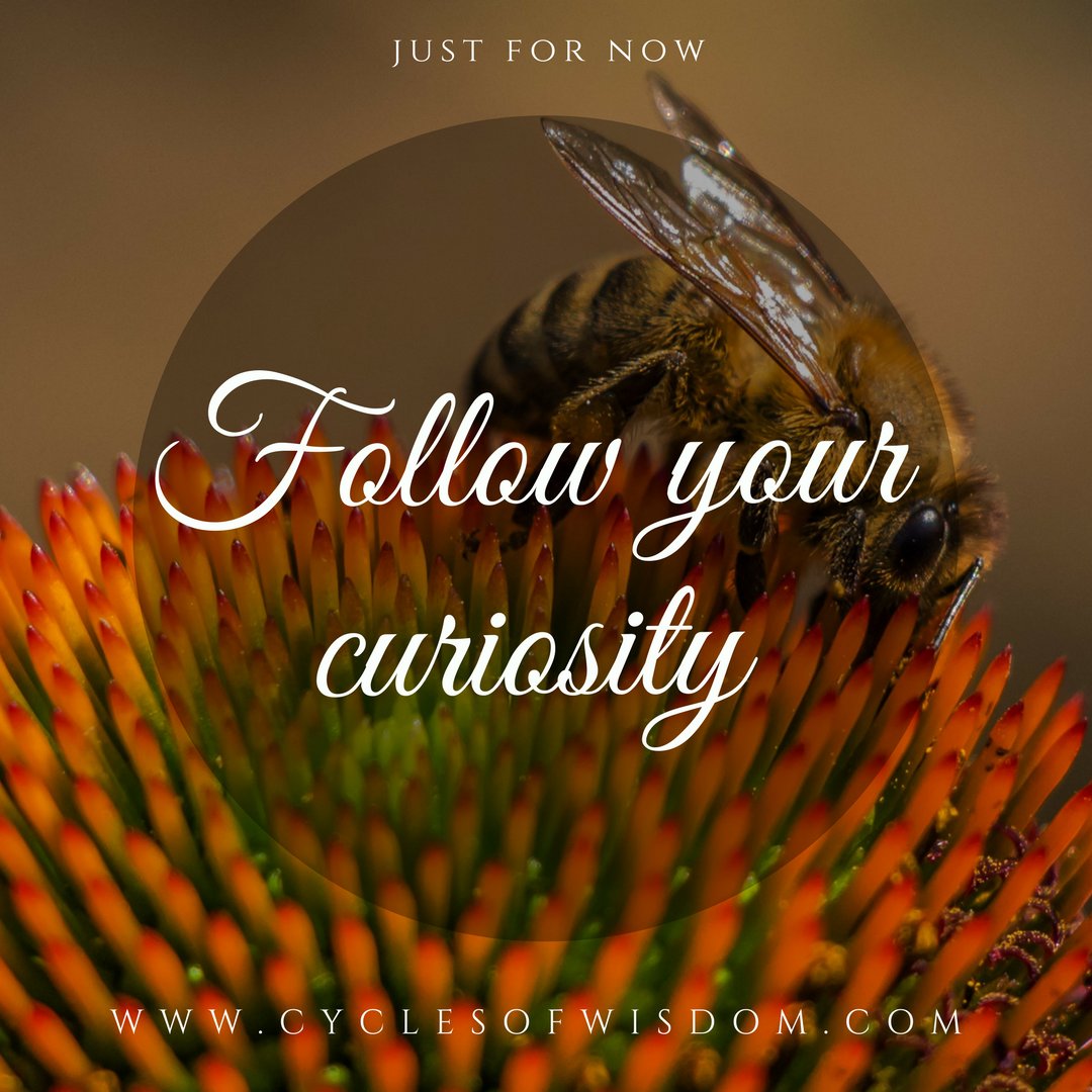 cyclesofwisdom's tweet photo. Happy #newmoon in #Gemini! Follow your curiosity. Open your mind. Experience the moment. Let go of your story. Find out more about how to work with the lunar cycle and #moonmagic at: https://t.co/QJqFgFWnh1 #lunarphases #femininewisdom #cycleliteracy #moonphases #mooncycles https://t.co/N4Z0pQzgZz