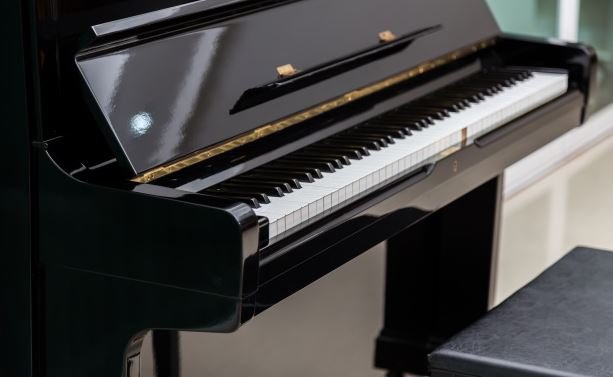 Life4muzic's tweet photo. One does not play the piano with one's fingers: one plays the piano with one's mind.
#life4muzic #piano #musicskills #LovePianoねこふん https://t.co/1PfBHc8vcg