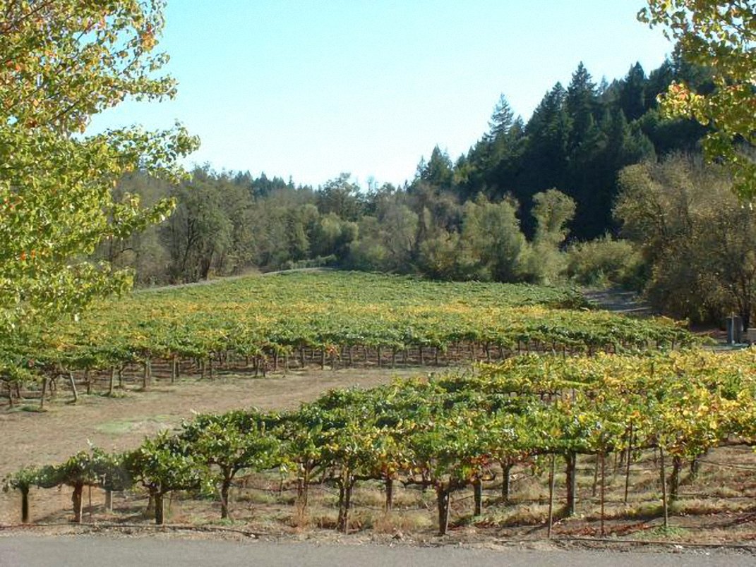 napasonomamag's tweet photo. Stop by the Russian River Vineyards for a unique 1890s farmhouse dining experience. @RRV_Winery @InsideSonoma #NSMag #neweats #eatlocal #foodie #dinner #weekend https://t.co/5SGji93YRq https://t.co/KEYtTOL5KS