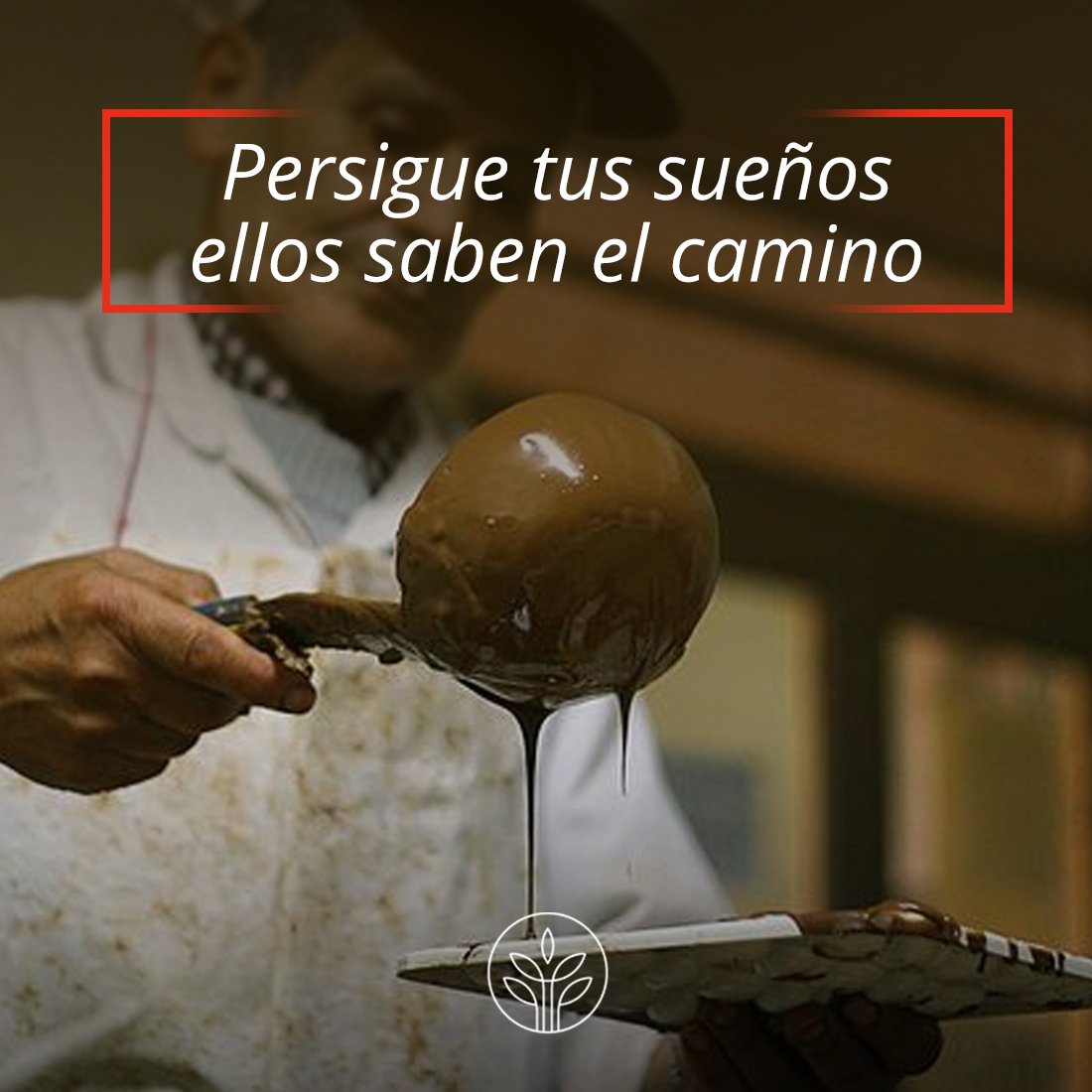 ESAICA1's tweet photo. Cultiva todo aquello que disfrutas y te encontrarás haciendo lo que disfrutas #esaica #vzla #chocolate #reposteria #cosecha #produccion https://t.co/VwBzThJHx3