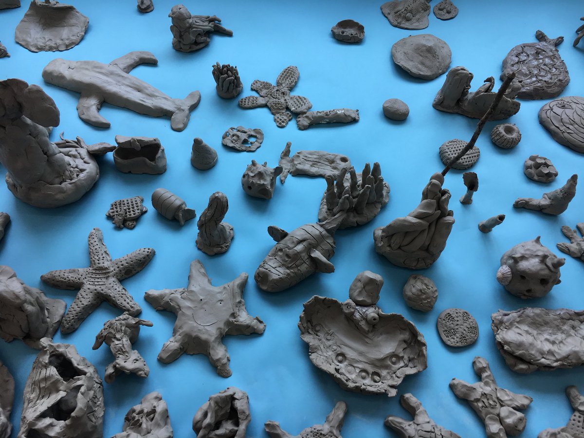 Dr Penny Hay 🇪🇺🕊💚🌳🐝🦋🌹🌈 tweet media