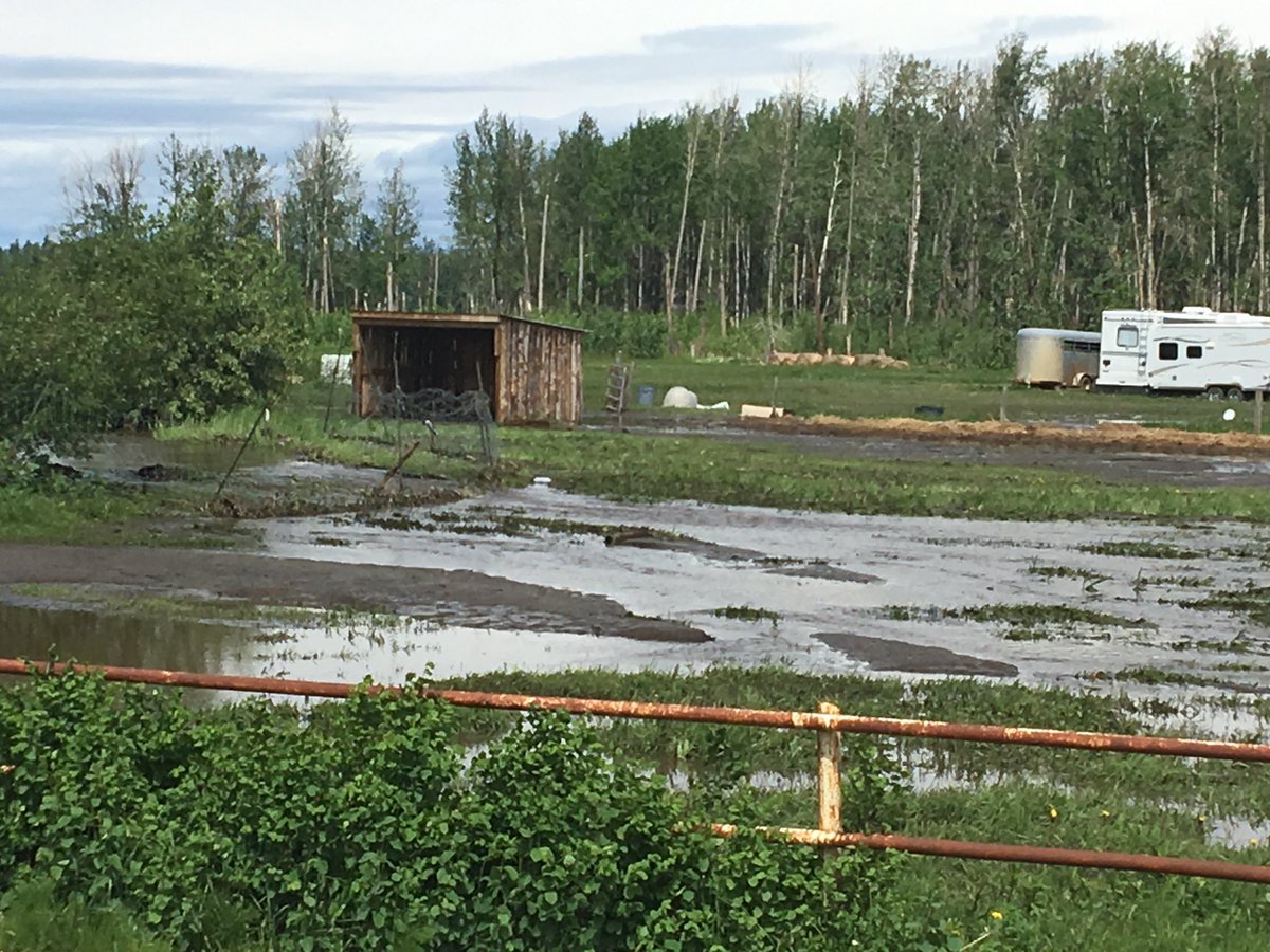 Floodwaters near Slave Lake are starting to recede and the damage is becoming apparent. The areas Reeve says cleanup will be expensive.
