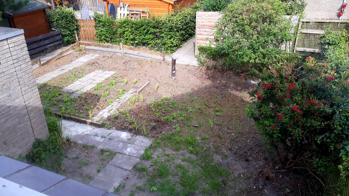 BOUWEXPERT's tweet photo. Dronten tuinonderhoud voor &amp; na https://t.co/Vl2soWCd6F