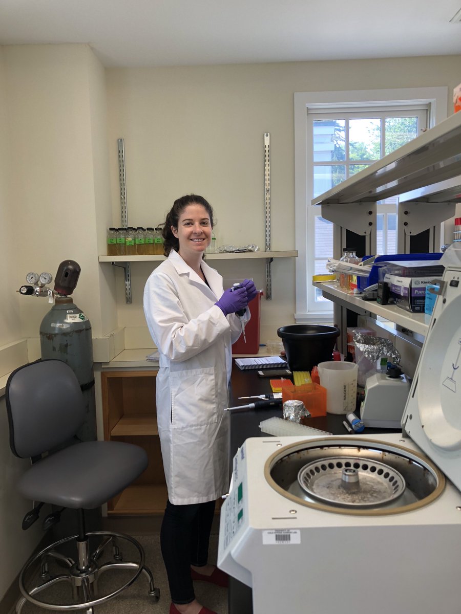 cshlabg's tweet photo. Pictures from the lab.. #phage #bacteria #bacteriophage #advancedgenetics #genetics #CSHLABG18 @cshlmeetings @CSHL #bacterialgenetics #ABG18 #pipette #lab #labpics https://t.co/FsOOcOxXvT