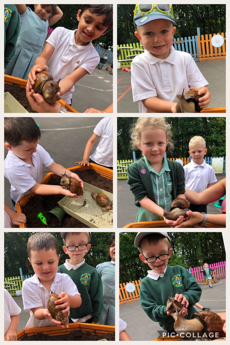 PenllergaerP's tweet photo. We gave Ant and Dec a bath today ๐ ๐! #ppsrec #ppsk&u #ppspsd https://t.co/Hwi6Oy6tg4