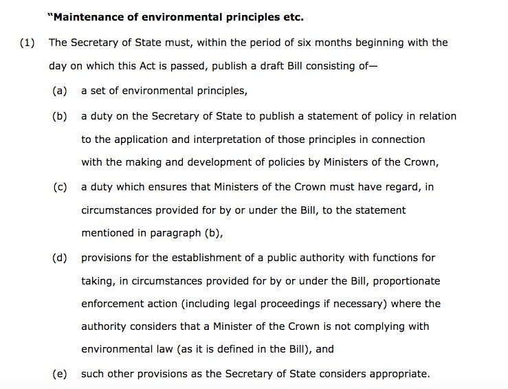RachSalv's tweet image. Altho gov&apos;s own amendments (c and c) on this were voted through without division 
#Brexit #EUWithdrawalBill #environmentalprinciples